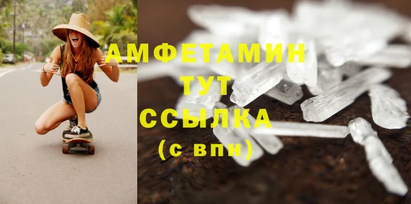 сатива Богданович