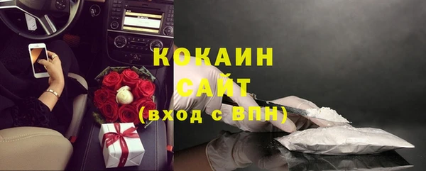 сатива Богданович