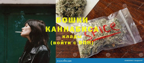 сатива Богданович