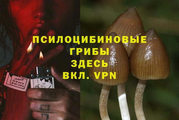 гашишное масло Богородицк